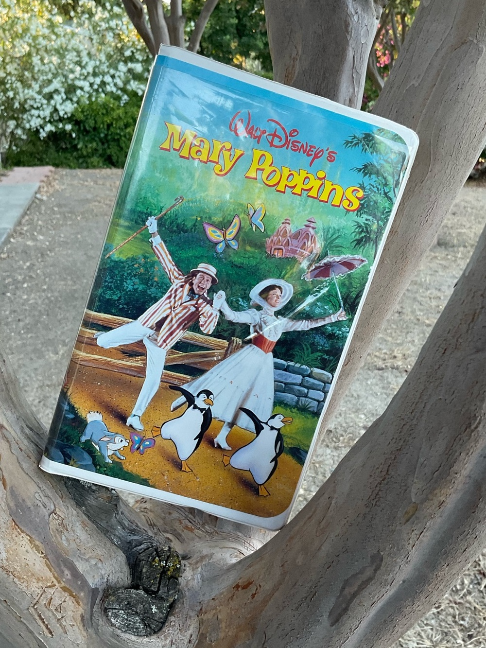 “Pre-Owned” Walt Disney’s “Mary Poppins” Masterpiece Collection. (VHS, 1998)